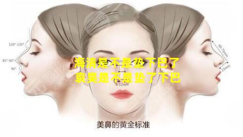 海清是不是垫下巴了 袁昊是不是垫了下巴